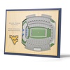 West Virginia Mountaineers