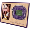 Minnesota Vikings