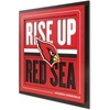 Arizona Cardinals