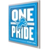 Detroit Lions