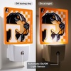 image:imageYouTheFan NCAA Logo Series Nite LightTeam Colors