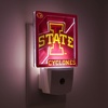 image:imageYouTheFan NCAA Logo Series Nite LightTeam Colors