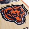 image:imageYouTheFan NFL 3D Stadium Banner 8 x 32 InchesChicago Bears