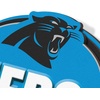image:imageYouTheFan NFL 3D Street Sign precisioncrafted readytohang wall art officially licensed and stylish addition for the ultimate team fanCarolina Panthers