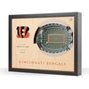 Cincinnati Bengals