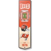 Tampa Bay Buccaneers