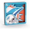 Miami Dolphins