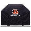Cincinnati Bengals