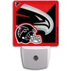 Atlanta Falcons