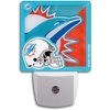 Miami Dolphins