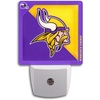 Minnesota Vikings