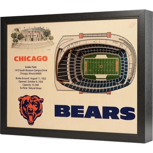 image:imageYouTheFan NFL 25Layer StadiumView Wall ArtChicago Bears