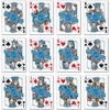 image:imageYouTheFan NFL OfficiallyLicensed Playing Cards  Original Artwork on All face Cards and Jokers  Teams Official Colors  Quality Linen Texture  Designed in The USADetroit Lions