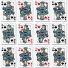 image:imageYouTheFan NFL OfficiallyLicensed Playing Cards  Original Artwork on All face Cards and Jokers  Teams Official Colors  Quality Linen Texture  Designed in The USASeattle Seahawks
