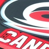 image:imageYouTheFan NHL 3D logo Series CoastersTeam Colors