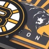 image:imageYouTheFan NHL 3D logo Series CoastersTeam Colors