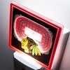 image:imageYouTheFan NHL Chicago Blackhawks StadiumView Nite Light