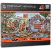 Cincinnati Bengals