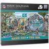 Miami Dolphins