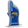 image:imageYouTheFan NCAA 1 Oven MittKentucky Wildcats