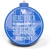 image:imageYouTheFan NCAA 3D Logo Series OrnamentKentucky Wildcats