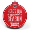 image:imageYouTheFan NCAA 3D Logo Series OrnamentWisconsin Badgers