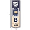 image:imageYouTheFan NCAA Arizona Wildcats 3D Stadium 6x19 Banner  McKale Memorial CenterButler Bulldogs
