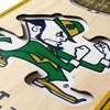 image:imageYouTheFan NCAA Arizona Wildcats 3D Stadium 6x19 Banner  McKale Memorial CenterNotre Dame Fighting Irish