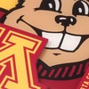 image:imageYouTheFan NCAA NCAA 3D Logo Series CoastersTeam Colors