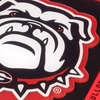 image:imageYouTheFan NCAA NCAA 3D Logo Series CoastersTeam Colors