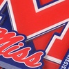 image:imageYouTheFan NCAA NCAA 3D Logo Series CoastersTeam Colors