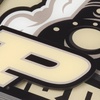 image:imageYouTheFan NCAA NCAA 3D Logo Series CoastersTeam Colors