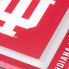 image:imageYouTheFan NCAA NCAA 3D Logo Series CoastersTeam Colors