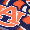 image:imageYouTheFan NCAA NCAA 3D Logo Series CoastersTeam Colors