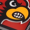 image:imageYouTheFan NCAA NCAA 3D Logo Series CoastersTeam Colors