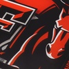 image:imageYouTheFan NCAA NCAA 3D Logo Series CoastersTeam Colors