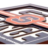 image:imageYouTheFan NCAA North Carolina Tar Heels Slogan Series 3D Wall ArtSyracuse Orange