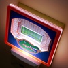 image:imageYouTheFan NCAA Texas Longhorns StadiumView Nite LightFlorida Gators