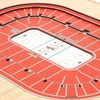 image:imageYouTheFan NHL 5Layer 17 x 13 StadiumViews 3D Wall ArtDetroit Red Wings