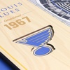image:imageYouTheFan NHL 5Layer 17 x 13 StadiumViews 3D Wall ArtSt Louis Blues