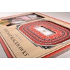 image:imageYouTheFan NHL Officiallylicensed 3D Stadium Picture Frame  perfect stadium replica  add 4 x 6 photo  made of multiple layers  ready to hang or displayChicago Blackhawks