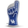 Kentucky Wildcats