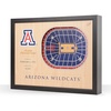 Arizona Wildcats BB