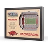 Arkansas Razorbacks