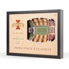 Iowa State Cyclones FB