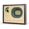 Michigan State Spartans BB