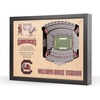 South Carolina Gamecocks