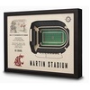 Washington State Cougars FB