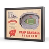 Wisconsin Badgers FB