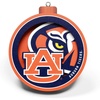 Auburn Tigers
